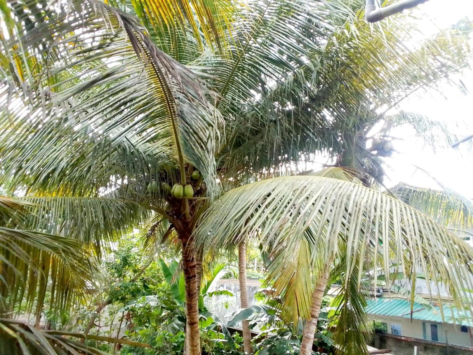 Nisadi Villa Bentota Luaran gambar