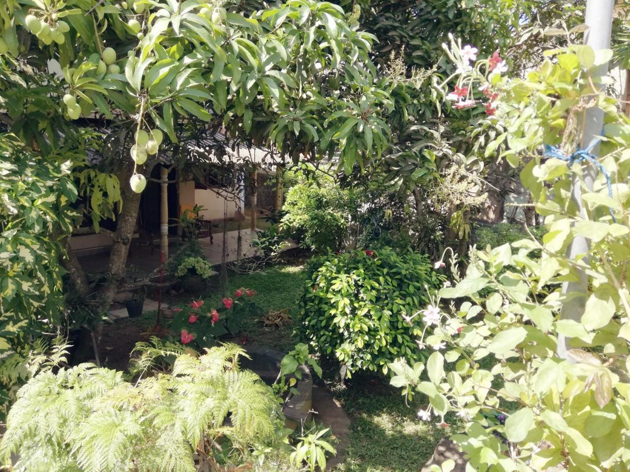 Nisadi Villa Bentota Luaran gambar